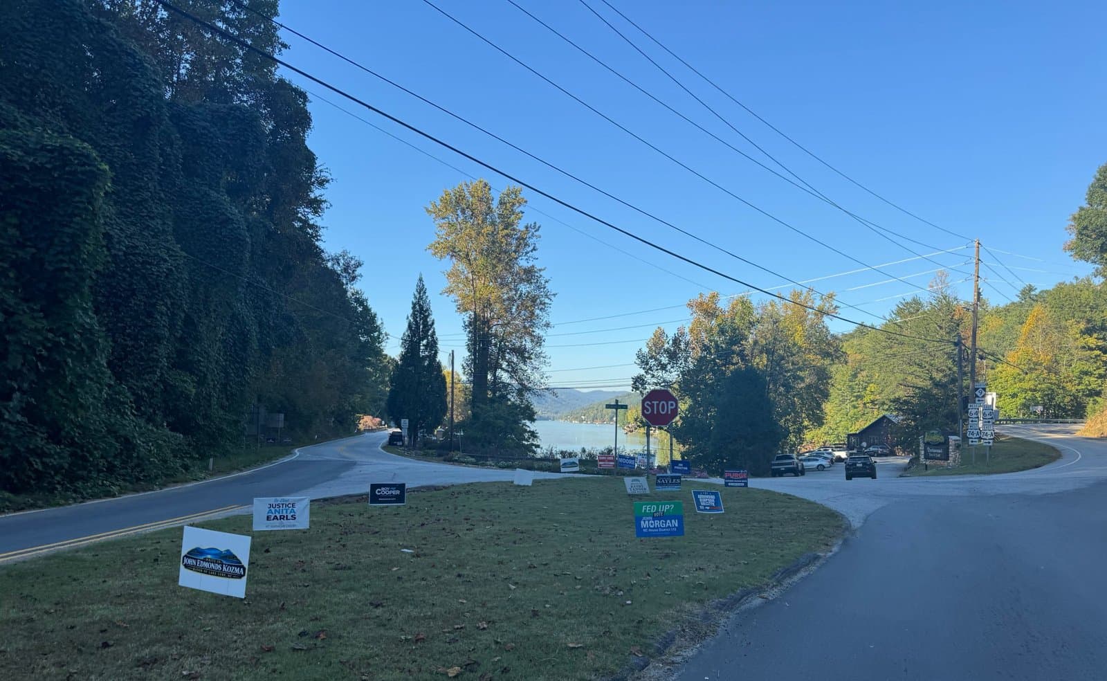 Kudzu-covered hillside beside a traffic island full of campaign signs, with Lake Lure in the distance