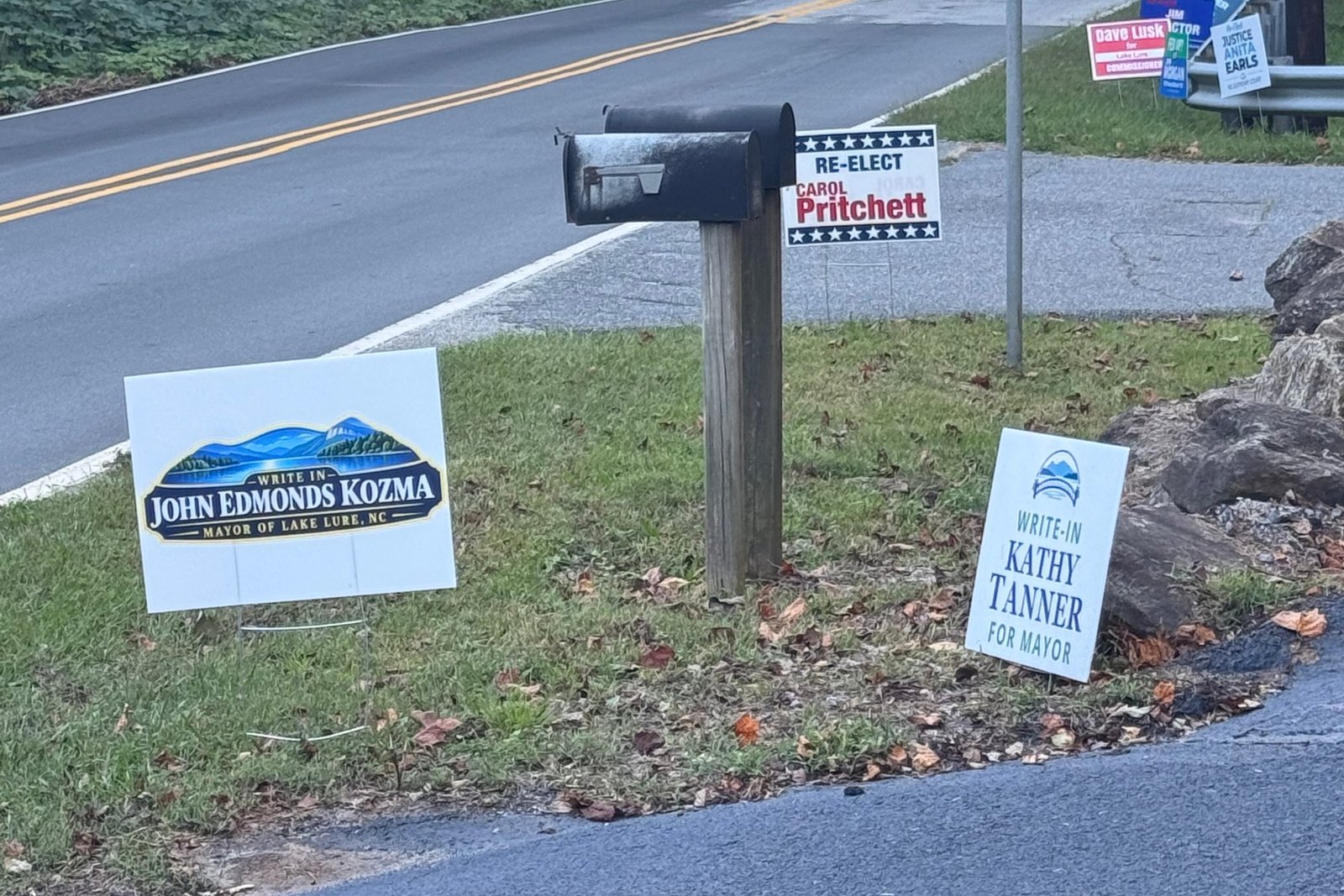 Campaign signs around a roadside mailbox