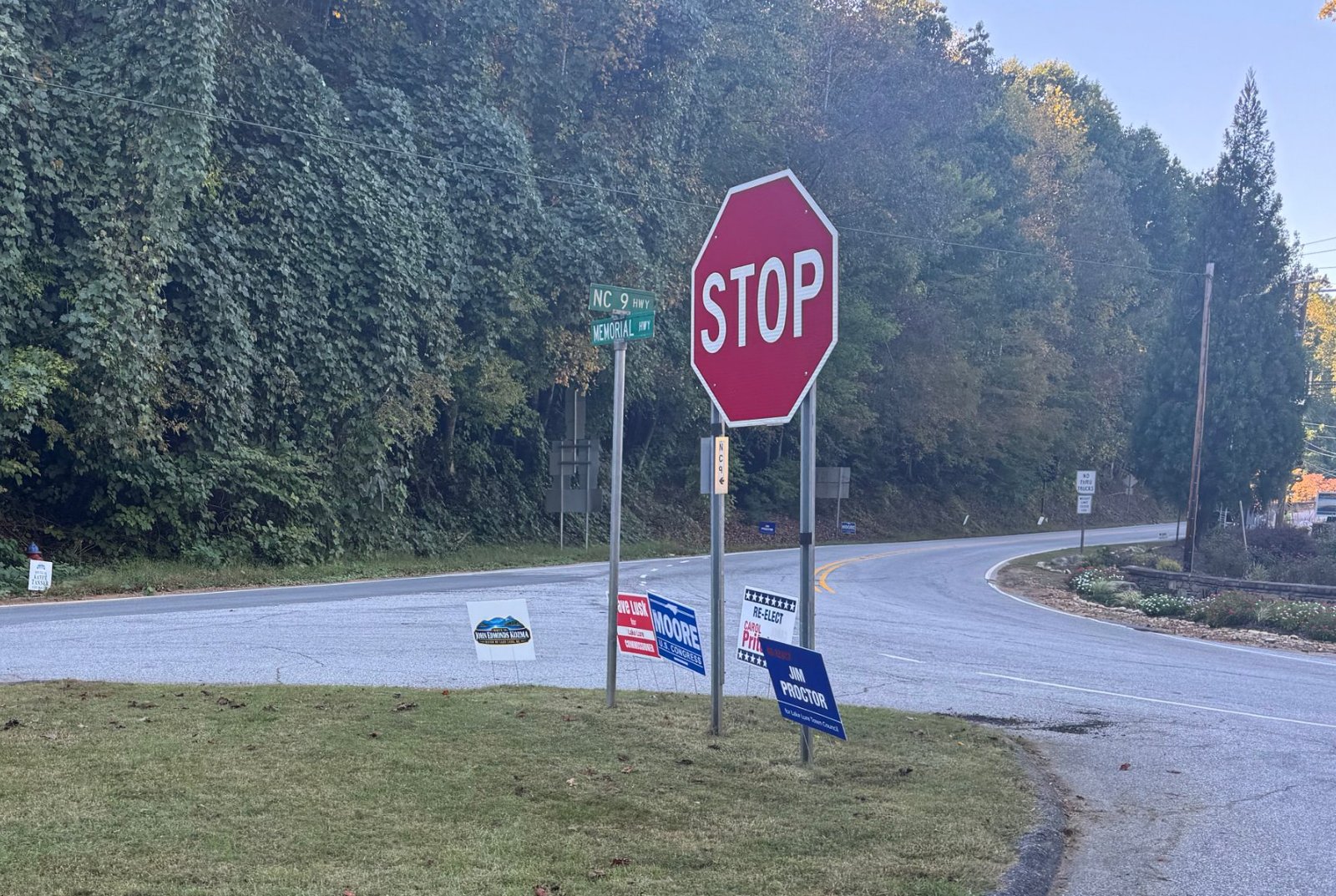 Campaign signs on a traffic island at NC 9 and Memorial Highway, with kudzu-covered hillside behind